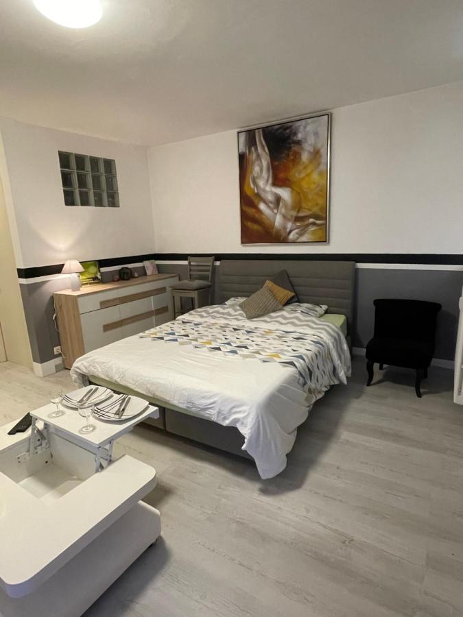 F1 Terrasse Hydromassage Led, Colmar A 5Min, Calme Apartment วินเซินไฮม์ ภายนอก รูปภาพ